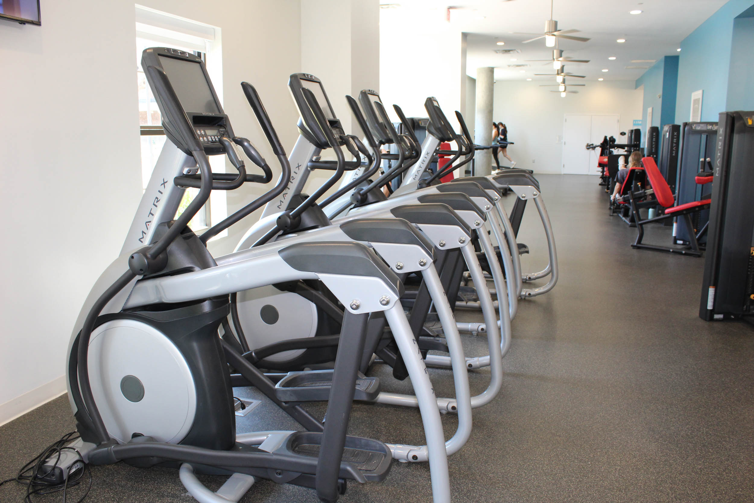 A row of ellipticals in a gym with ceiling fans