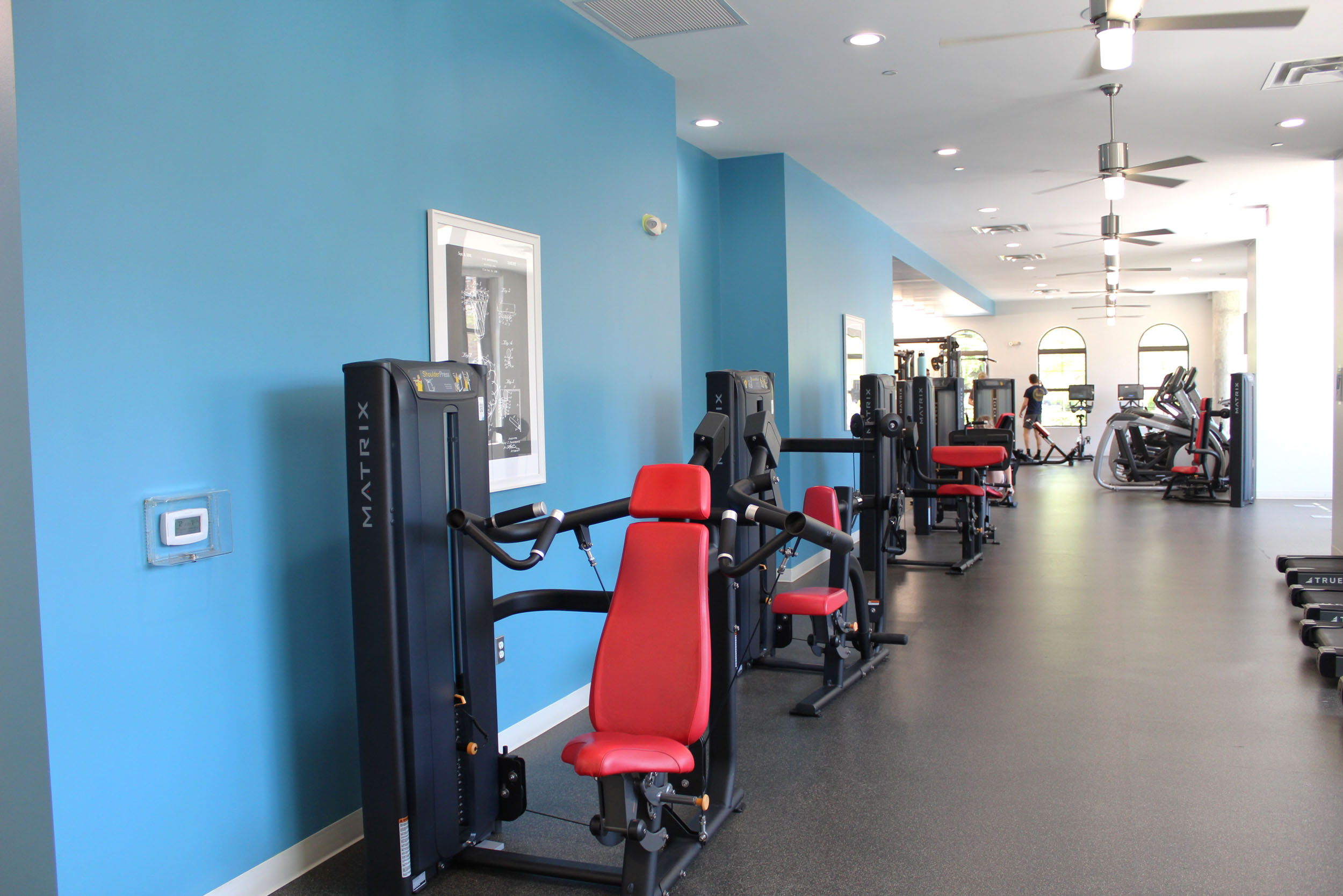 Gym with blue walls and state of the art equipment